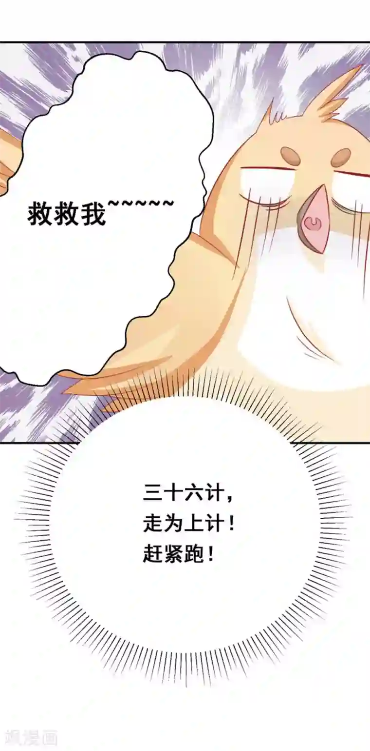 冤家小小鸟第35话