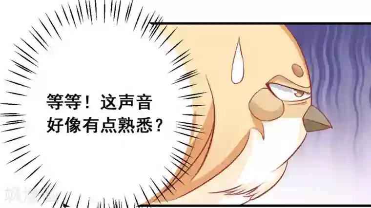 冤家小小鸟第36话