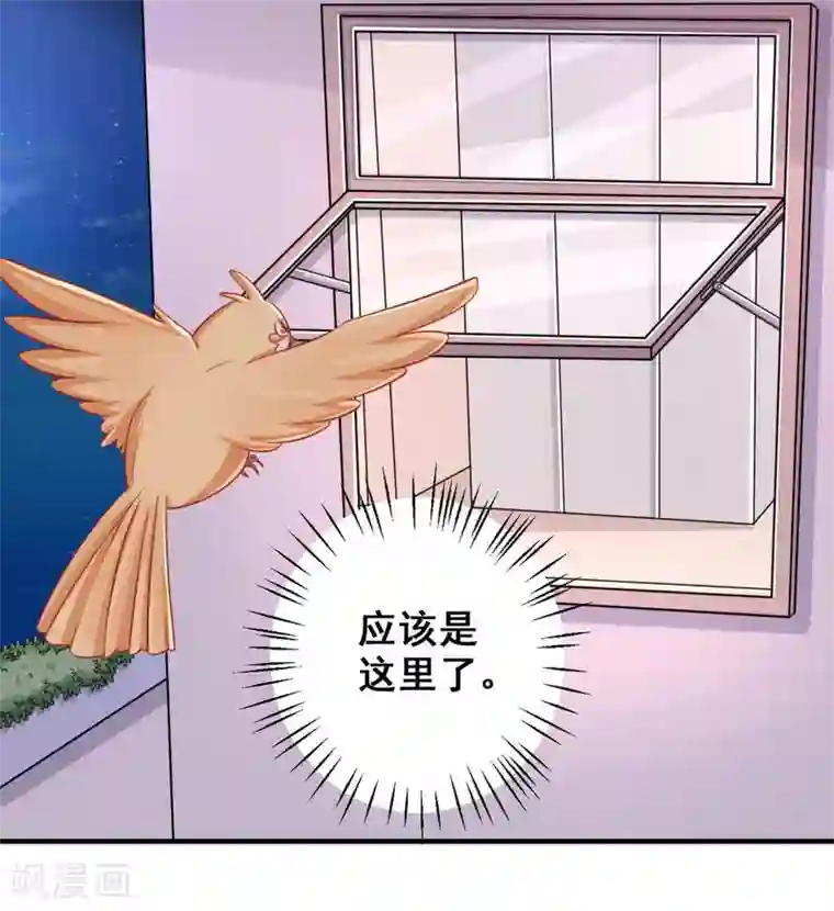 冤家小小鸟第36话