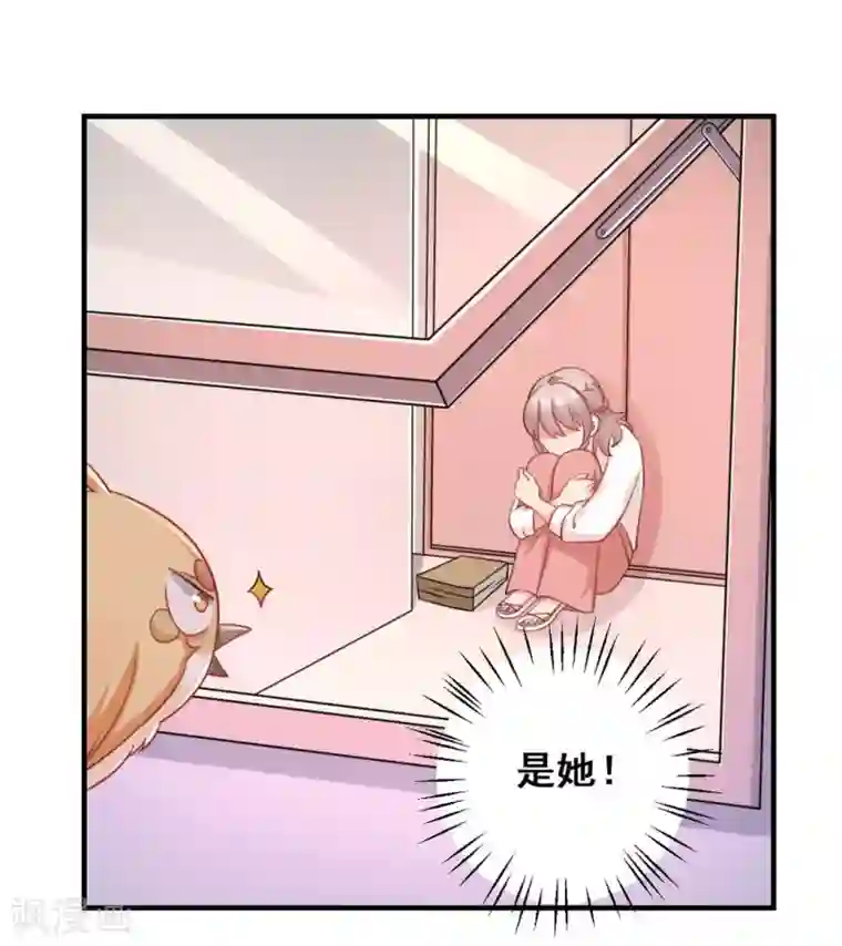 冤家小小鸟第36话