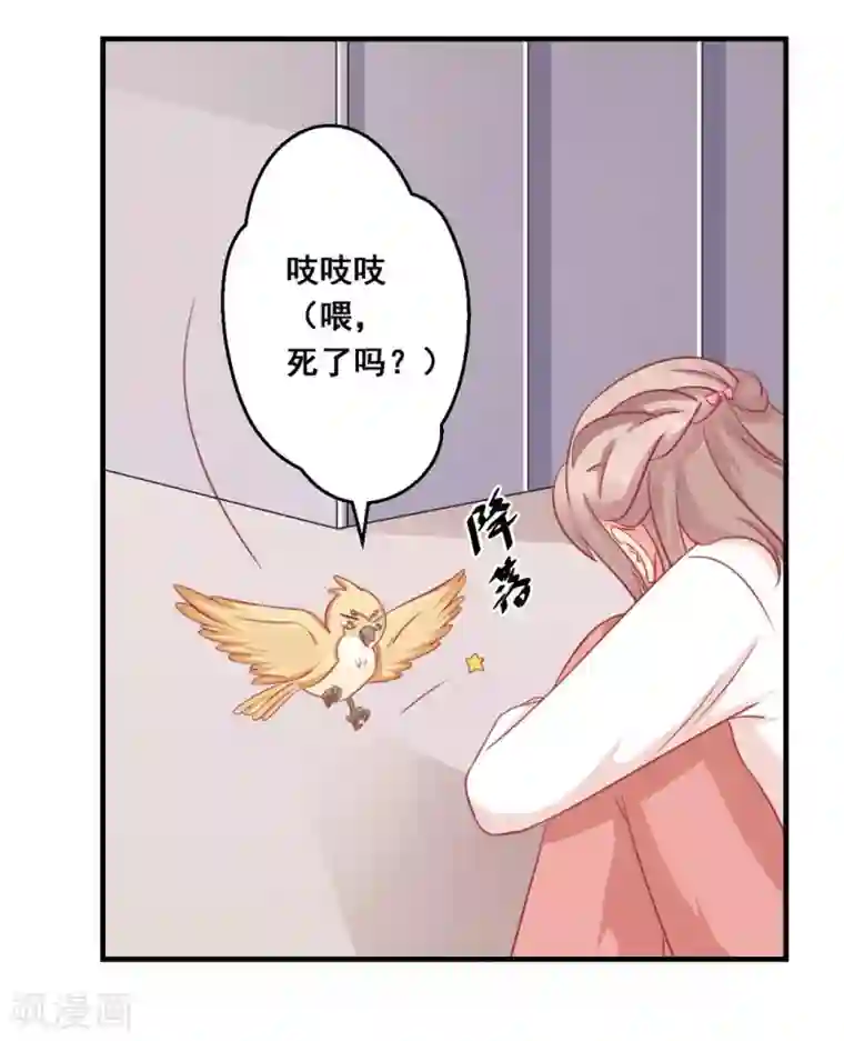 冤家小小鸟第36话