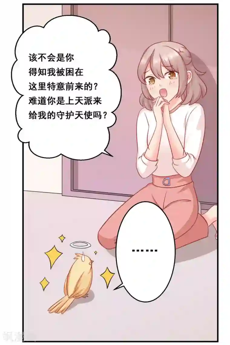 冤家小小鸟第36话