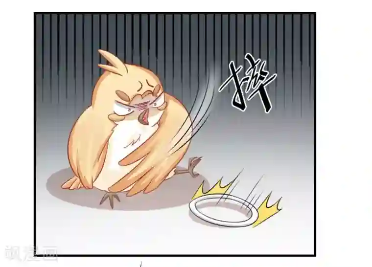 冤家小小鸟第36话