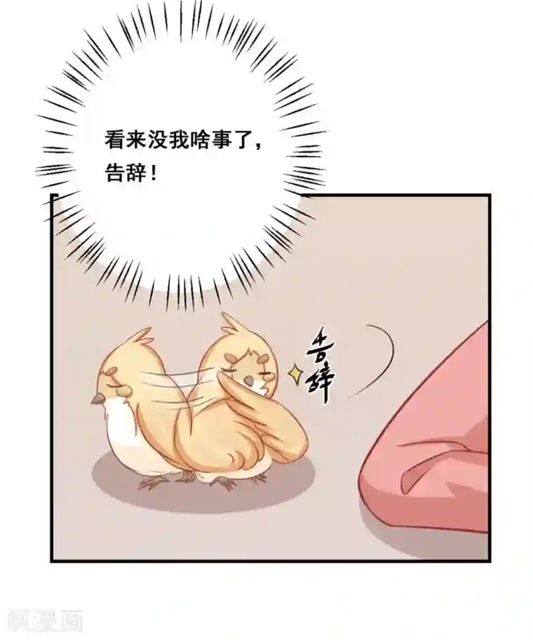 冤家小小鸟第36话