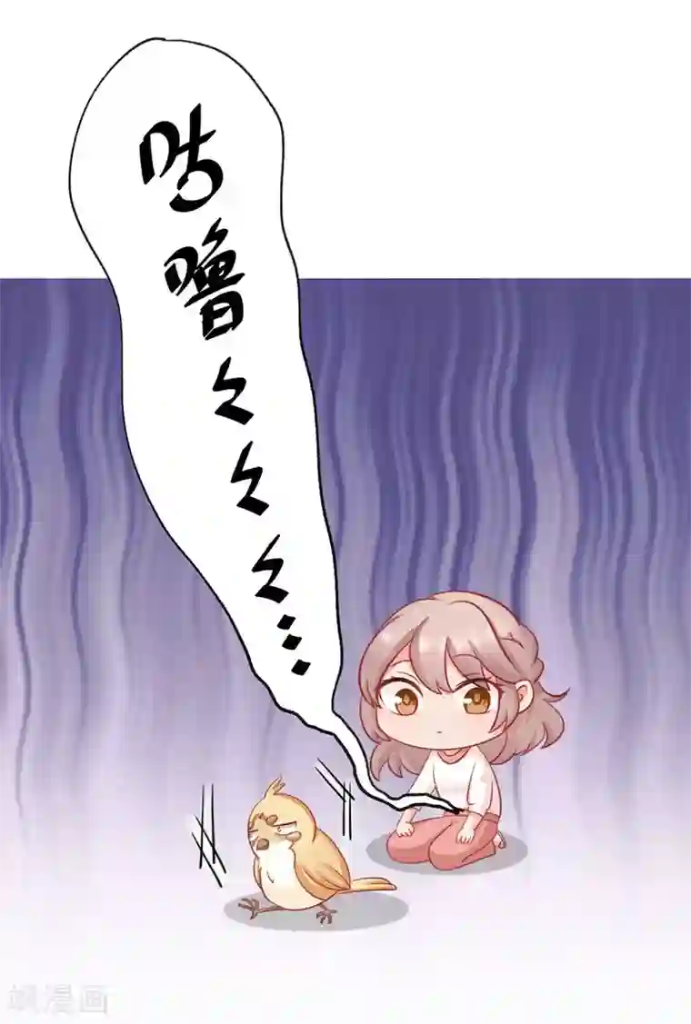 冤家小小鸟第36话