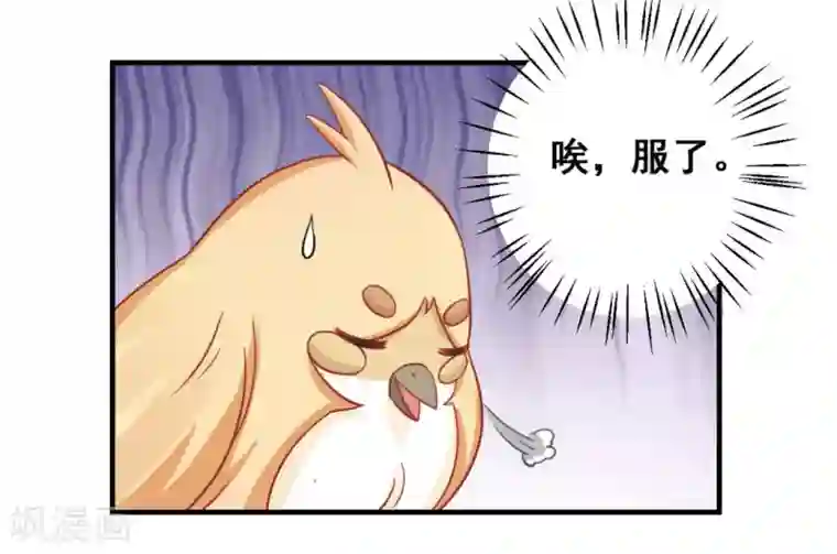 冤家小小鸟第36话