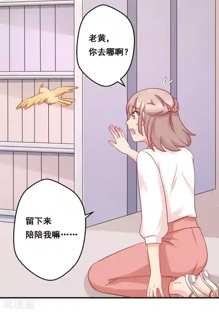 冤家小小鸟第36话