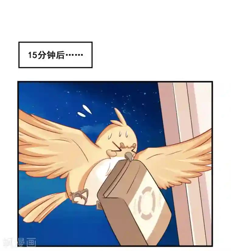 冤家小小鸟第36话