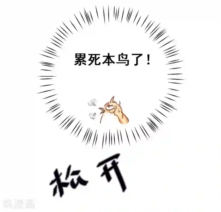 冤家小小鸟第36话