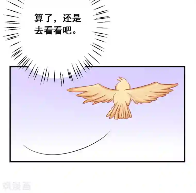 冤家小小鸟第36话