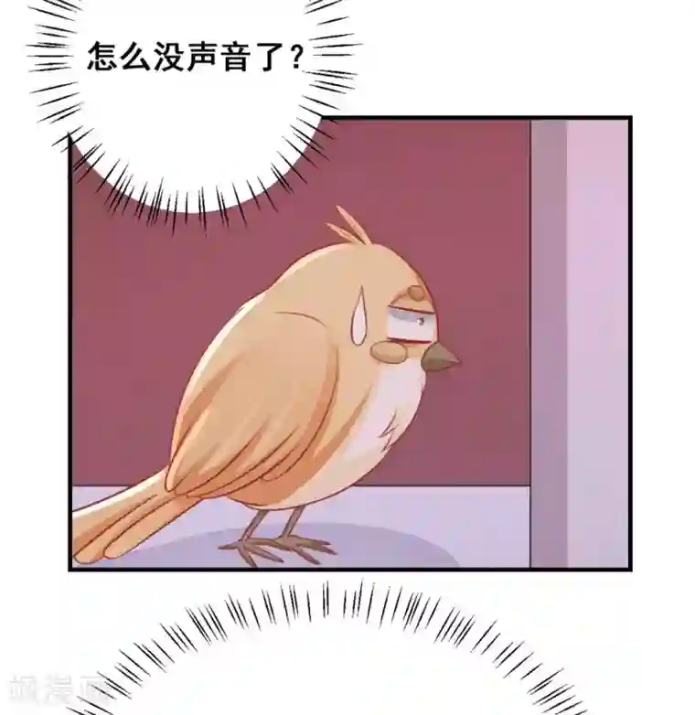 冤家小小鸟第36话