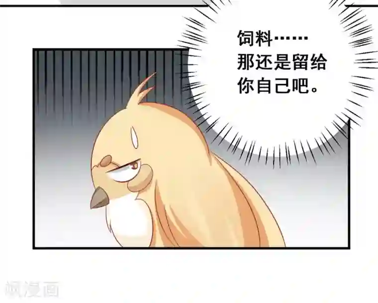 冤家小小鸟第37话