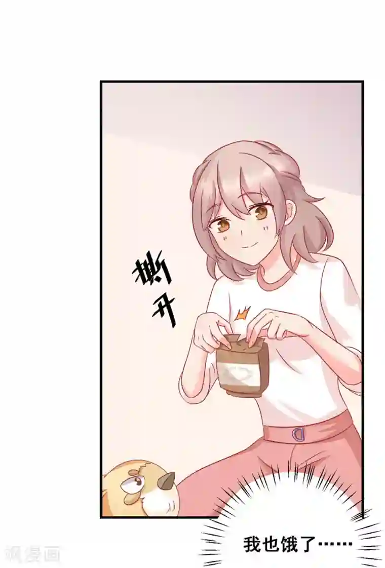 冤家小小鸟第37话