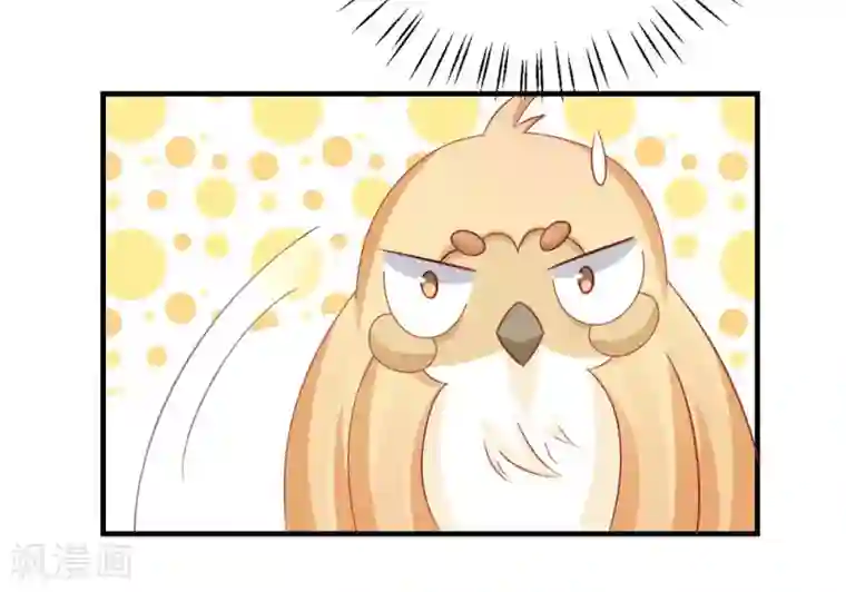 冤家小小鸟第37话