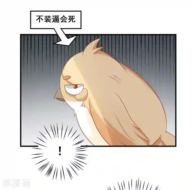 冤家小小鸟第37话