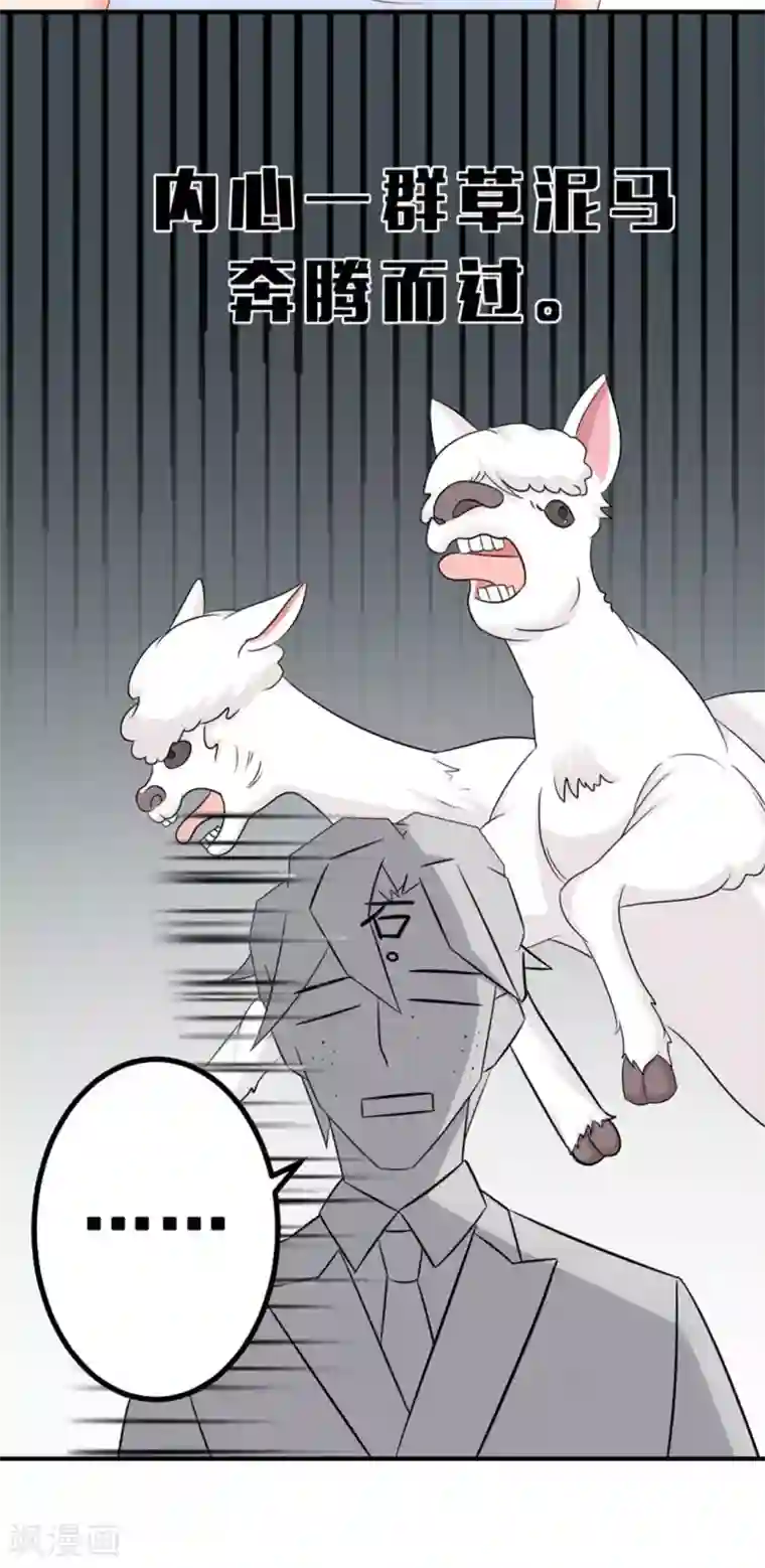 冤家小小鸟第43话