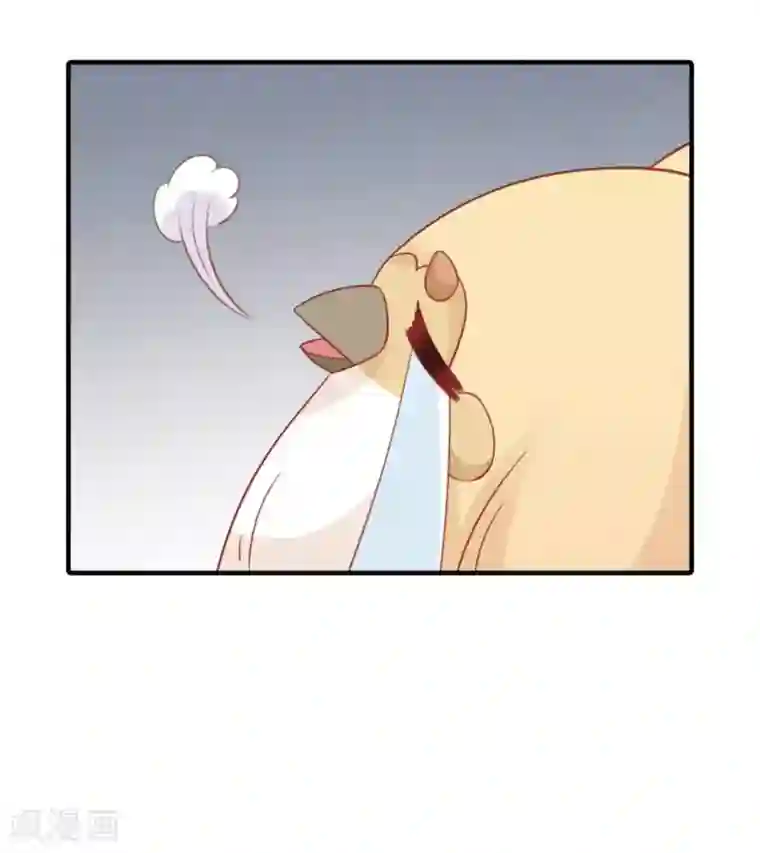 冤家小小鸟第53话