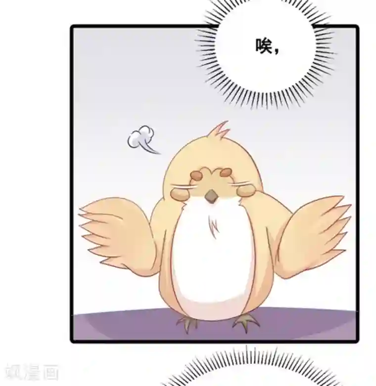 冤家小小鸟第63话