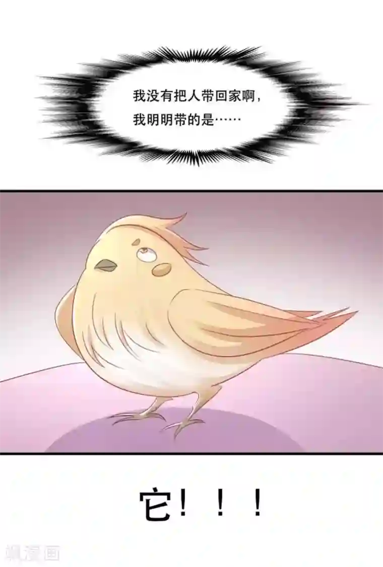 冤家小小鸟第73话