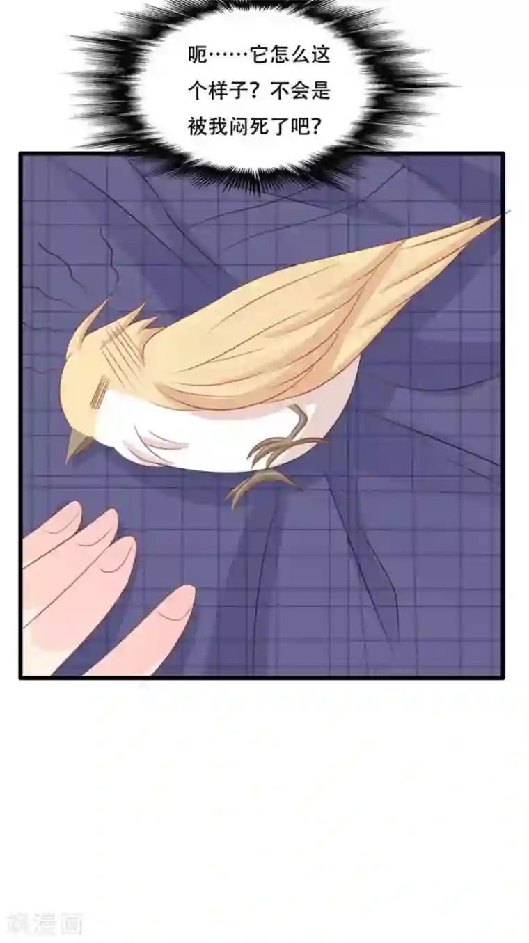 冤家小小鸟第92话