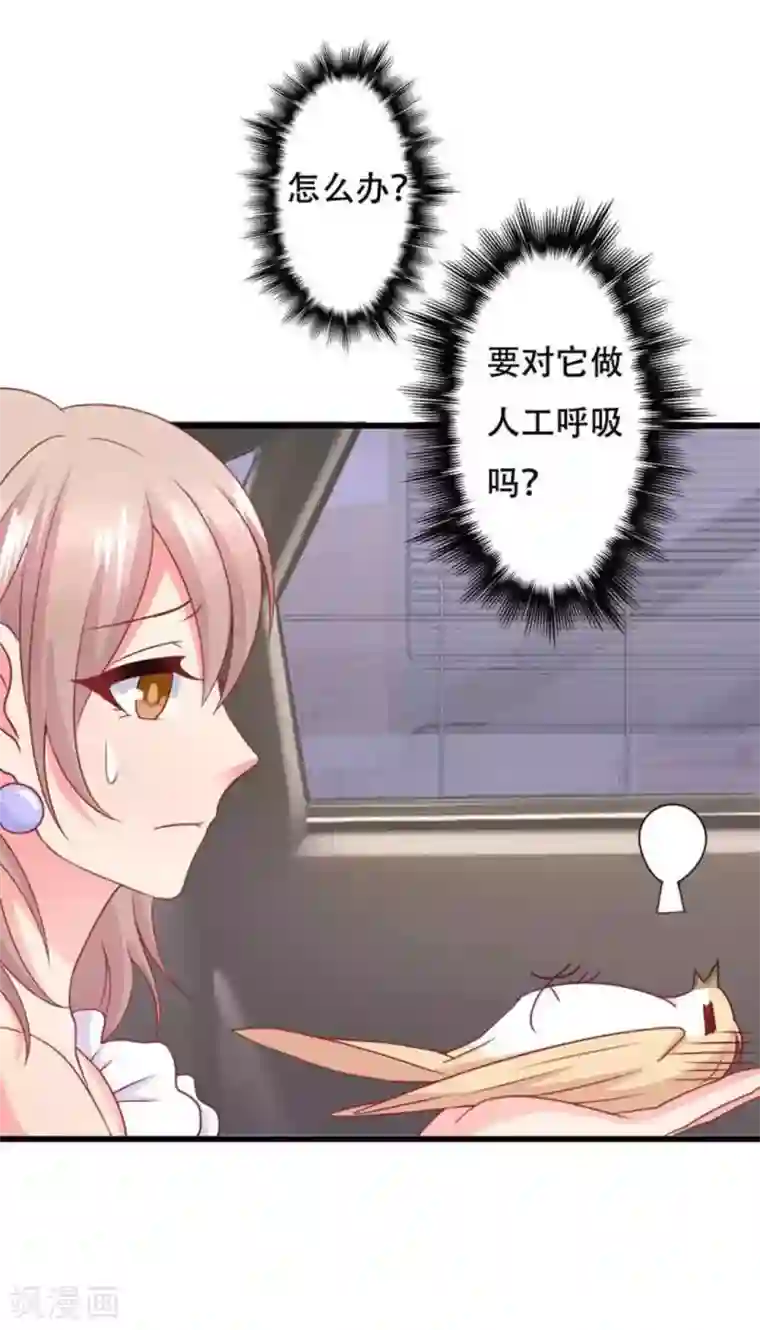 冤家小小鸟第92话