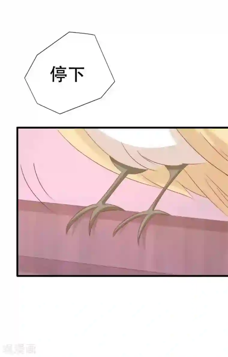 冤家小小鸟第98话