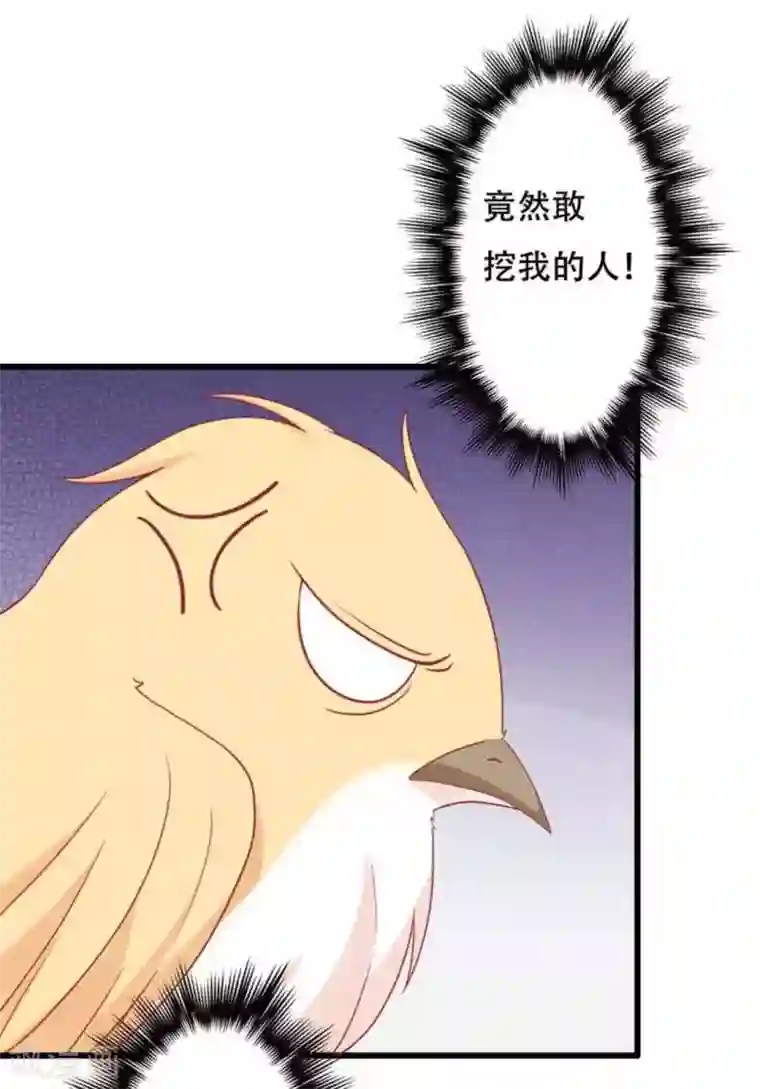 冤家小小鸟第99话