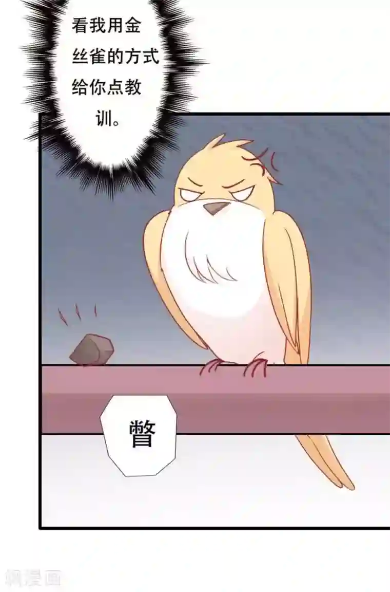 冤家小小鸟第99话