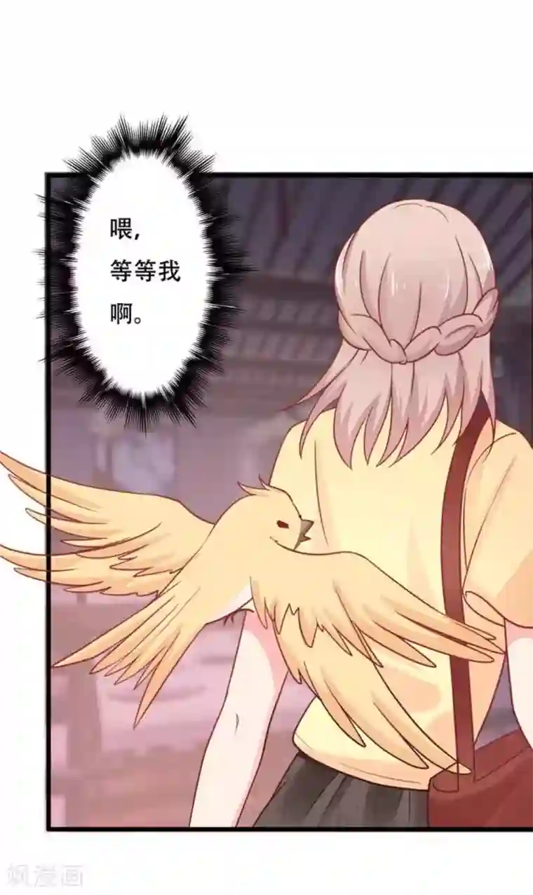 冤家小小鸟第99话