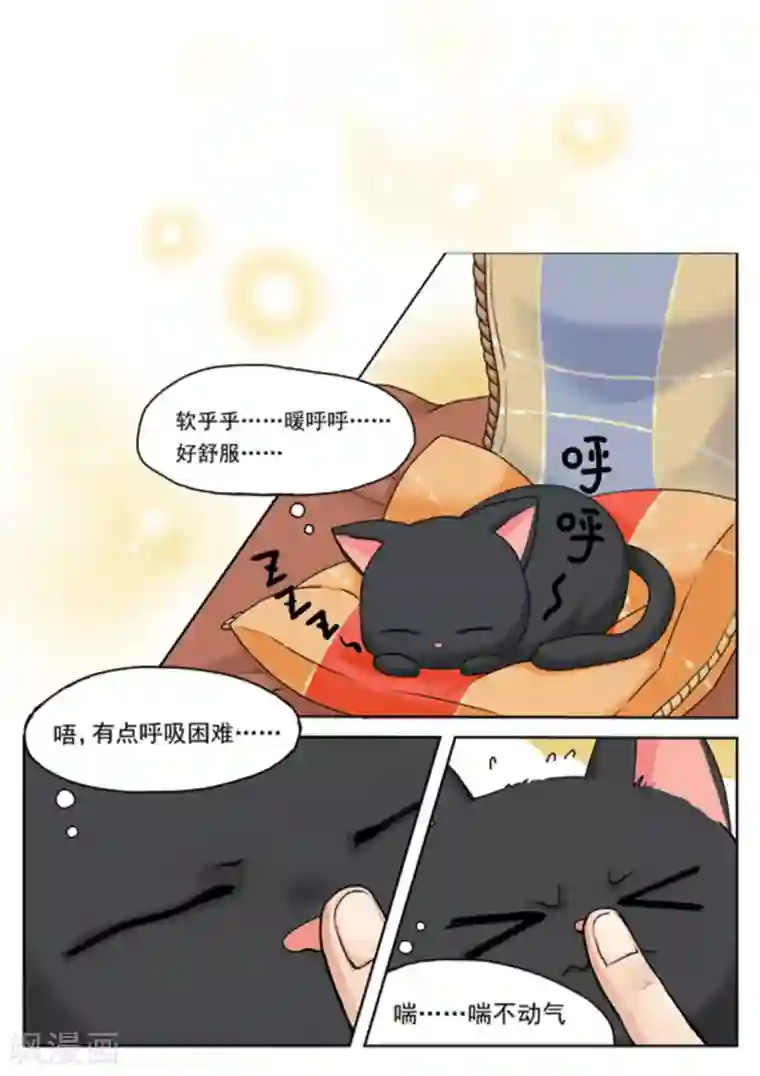 快穿之拯救世界攻略第2话