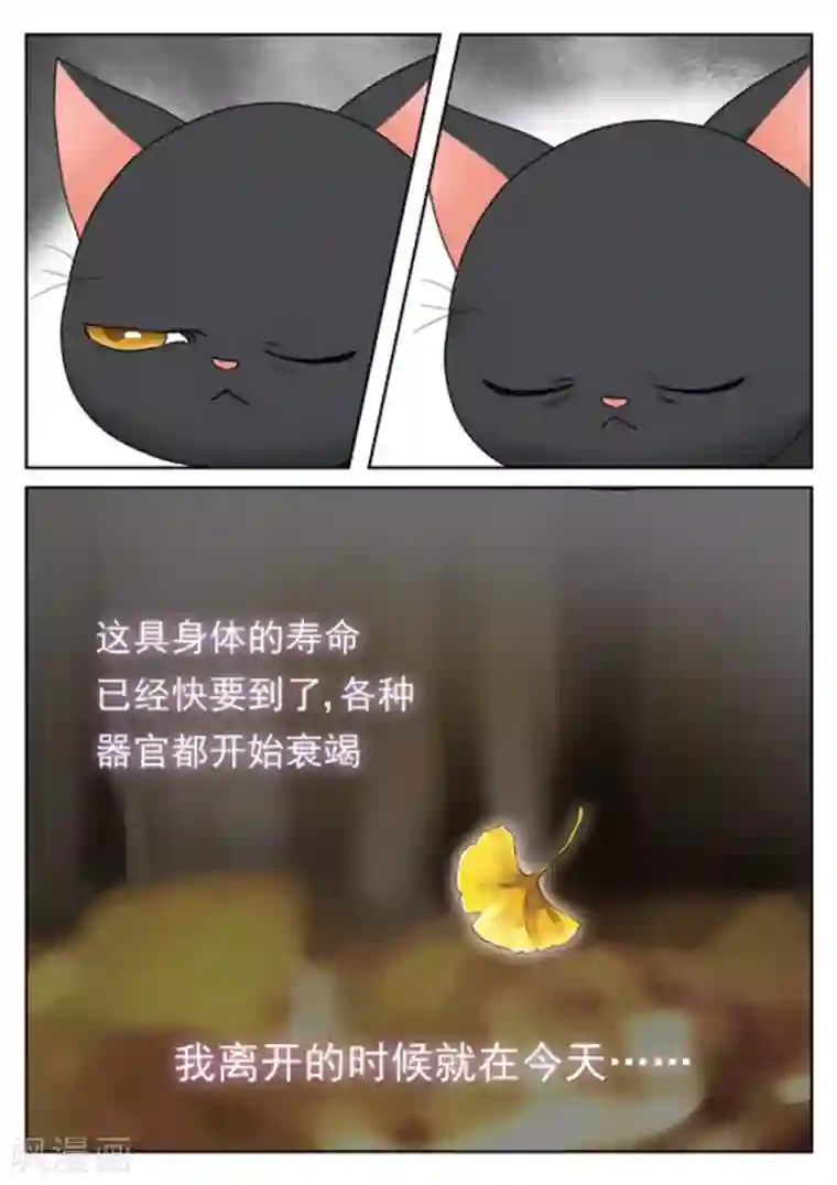 快穿之拯救世界攻略第28话