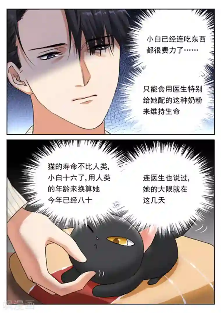 快穿之拯救世界攻略第28话