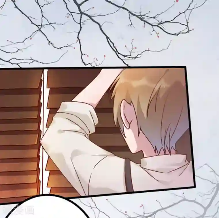 占星茶楼第25话