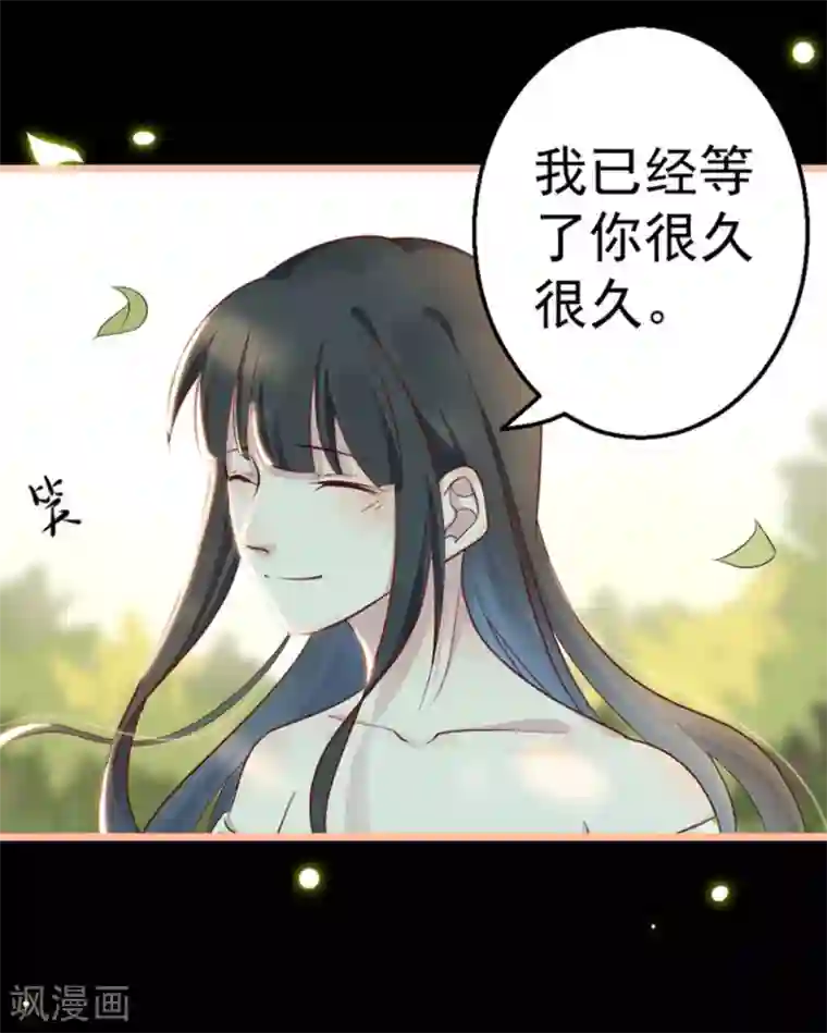 占星茶楼第28话