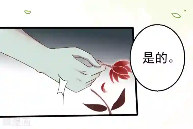 占星茶楼第29话