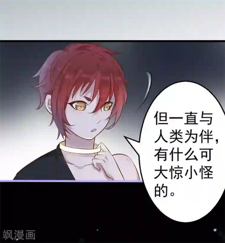 占星茶楼第33话