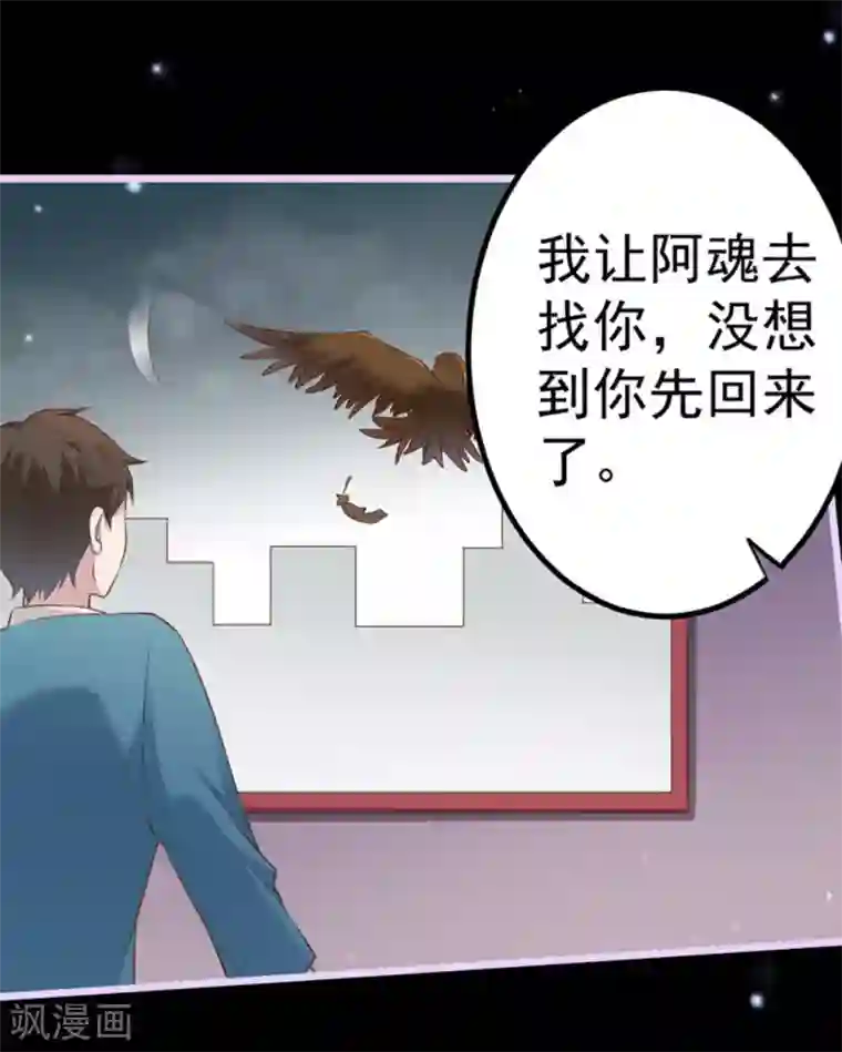 占星茶楼第35话