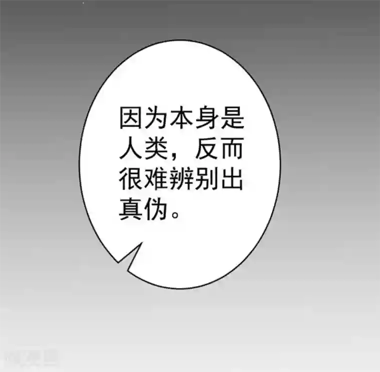 占星茶楼第38话
