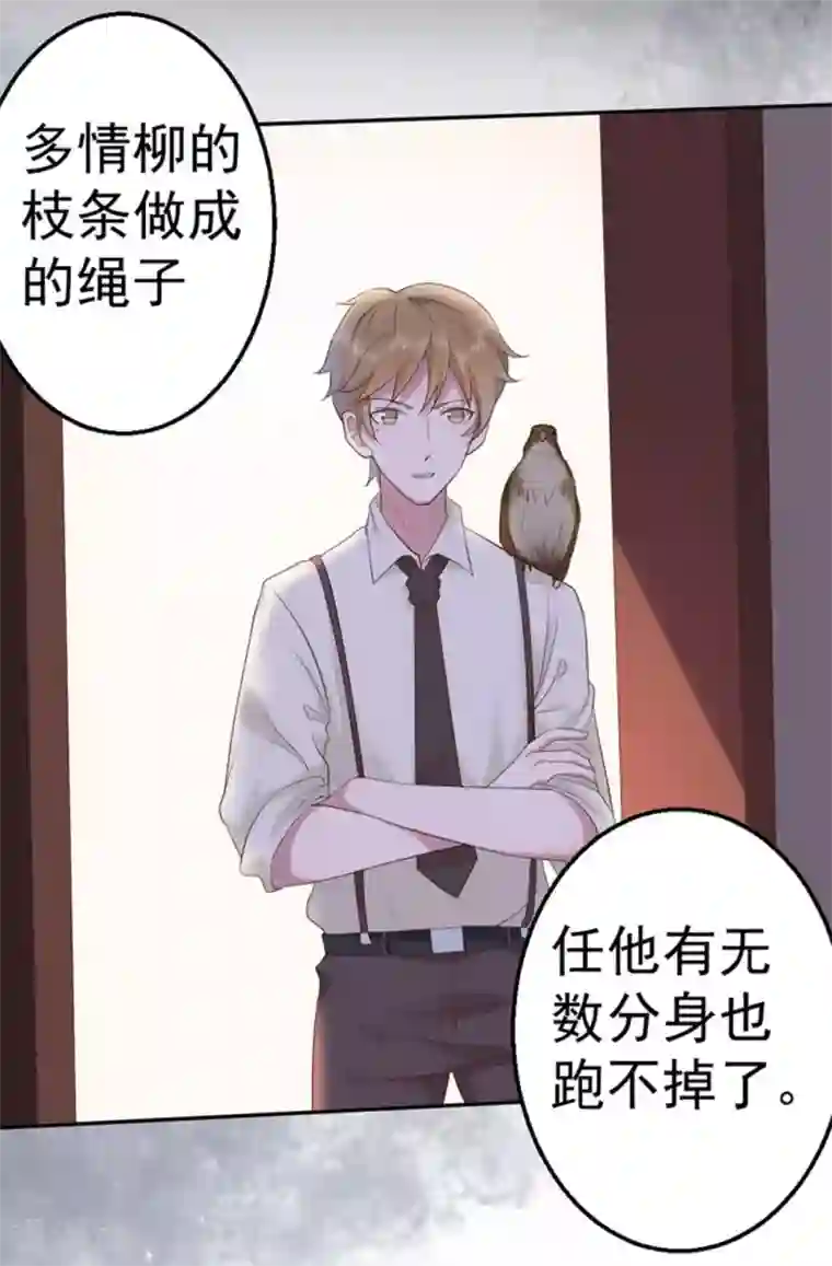 占星茶楼第39话