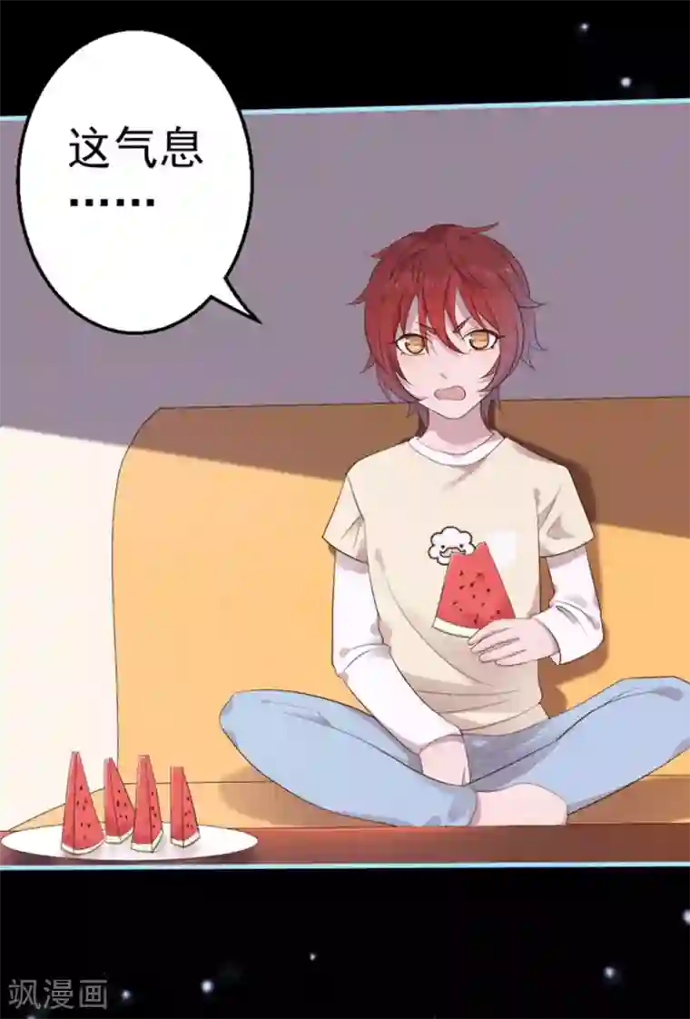 占星茶楼第39话