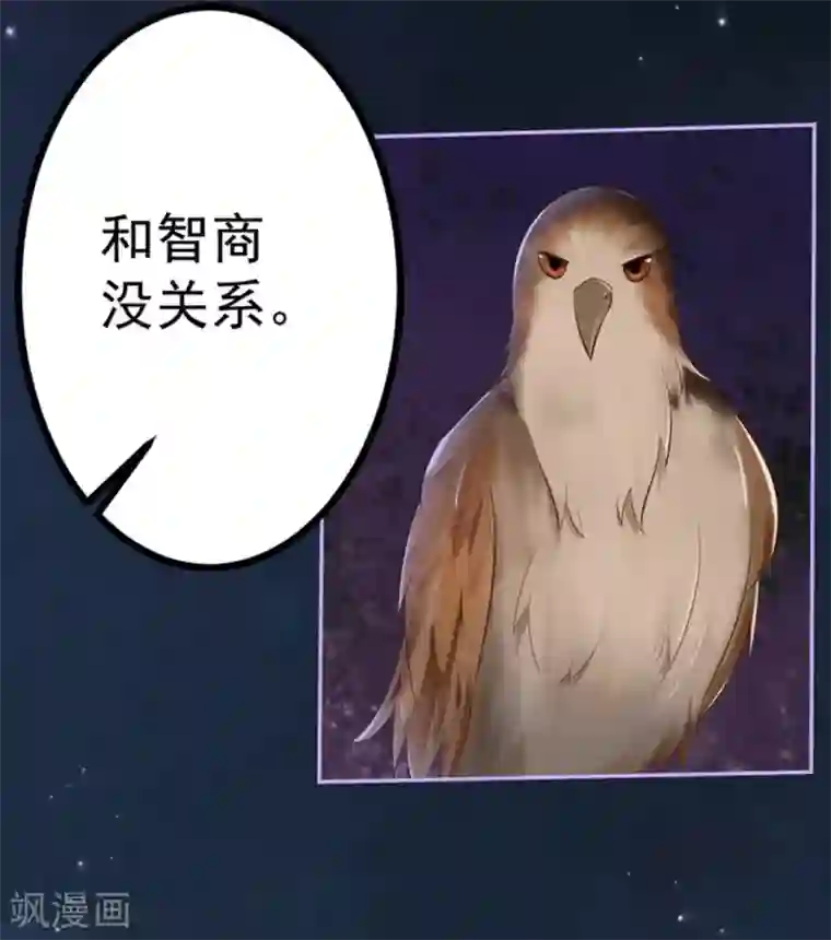 占星茶楼第41话