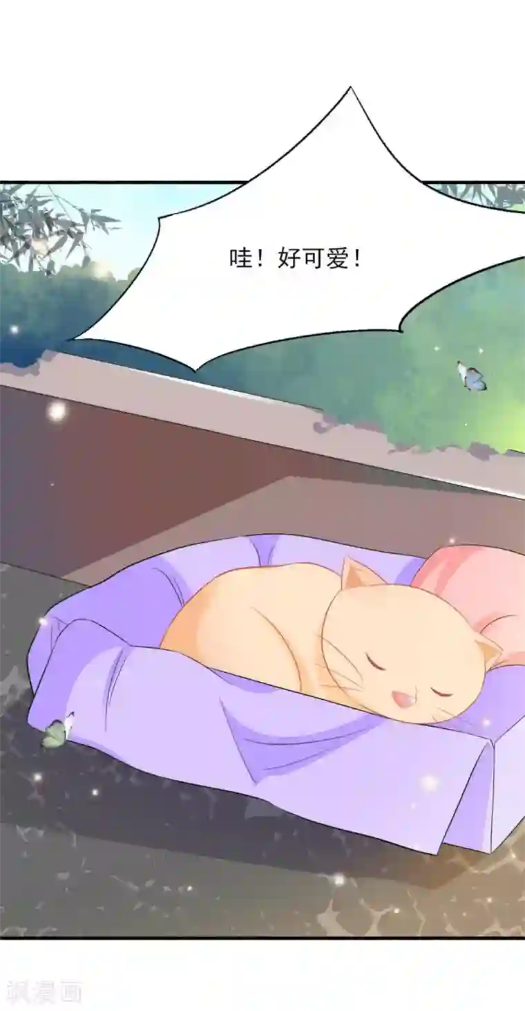 鲛起澜沧第23话