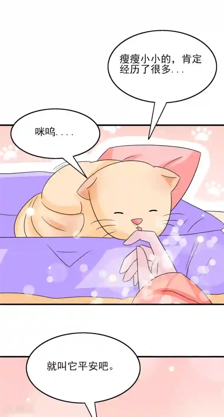 鲛起澜沧第23话