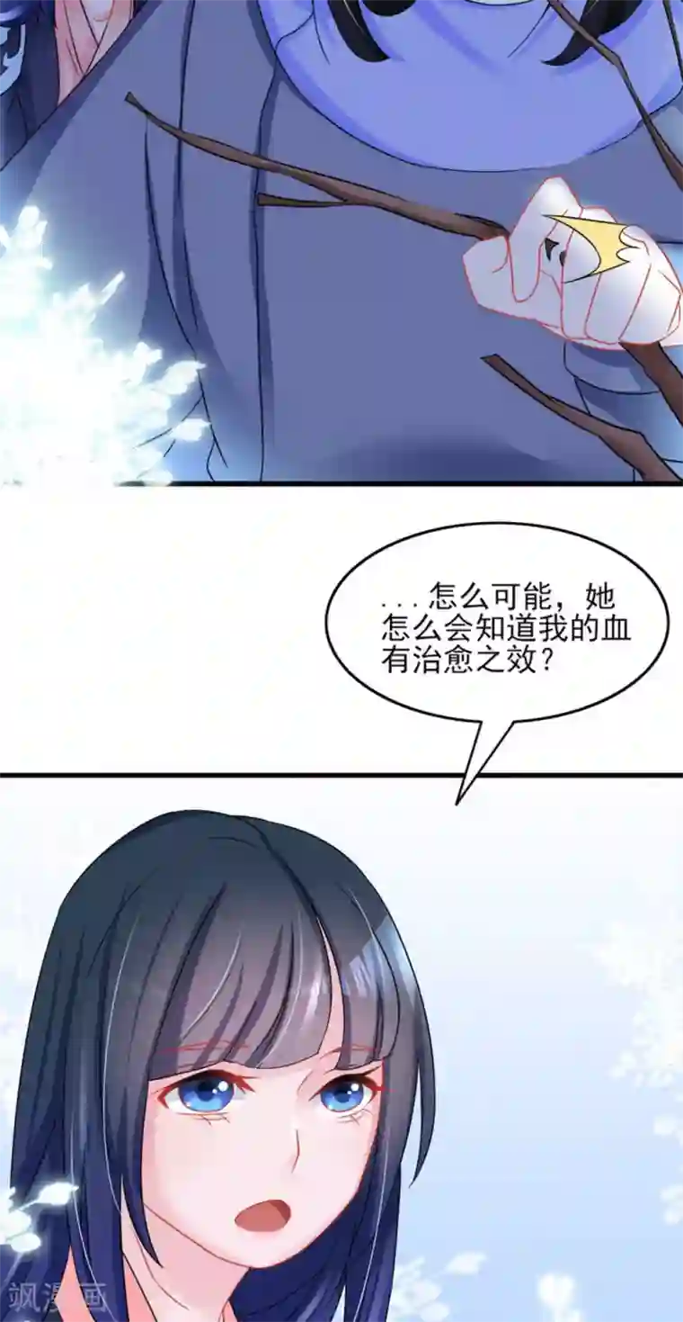 鲛起澜沧第31话