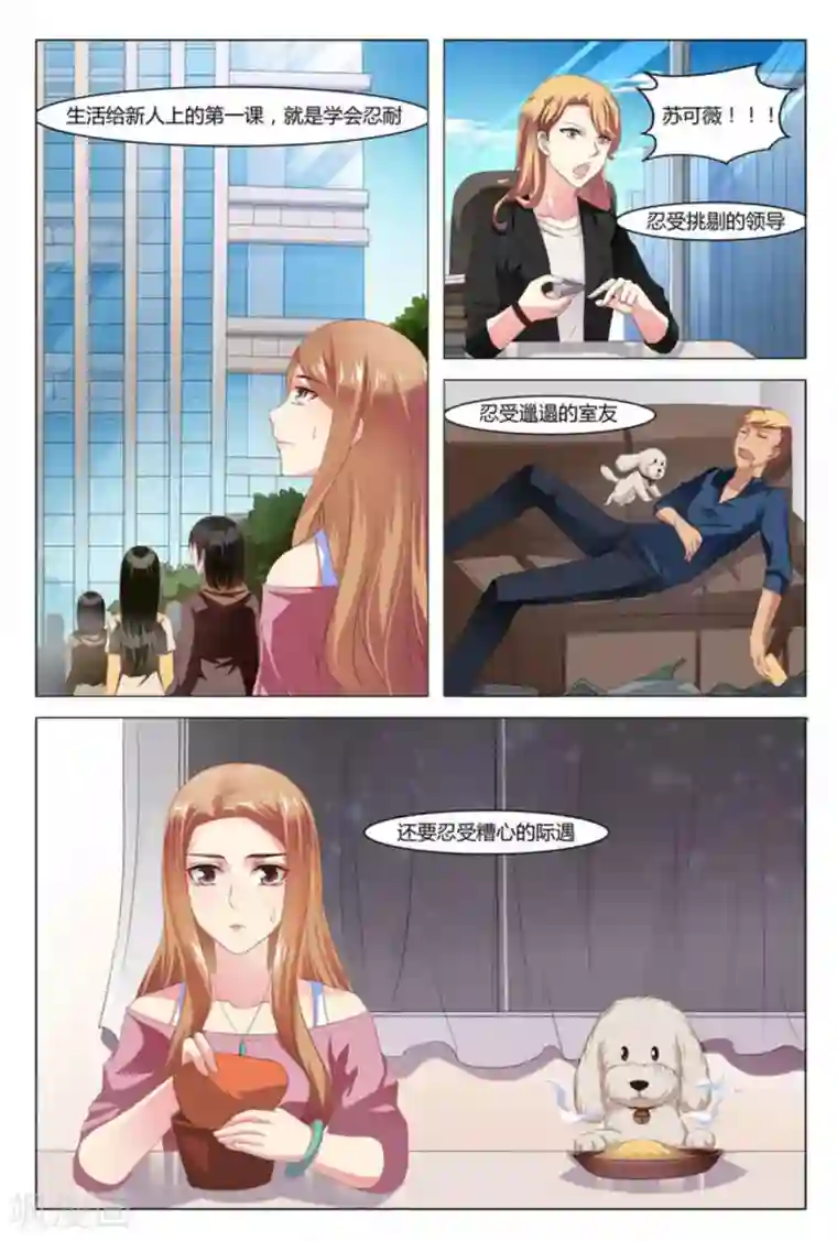 我的房东是泰迪第1话