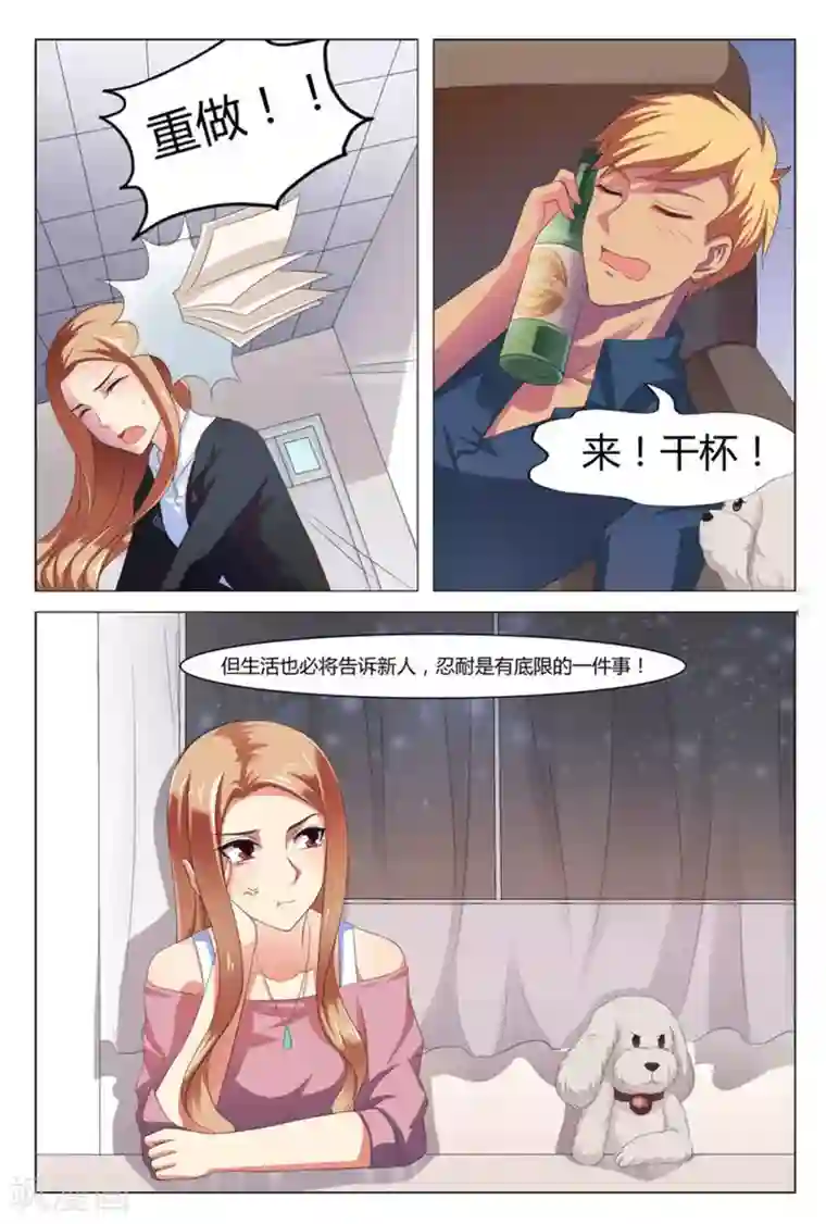 我的房东是泰迪第1话