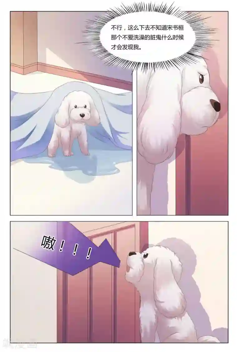 我的房东是泰迪第2话