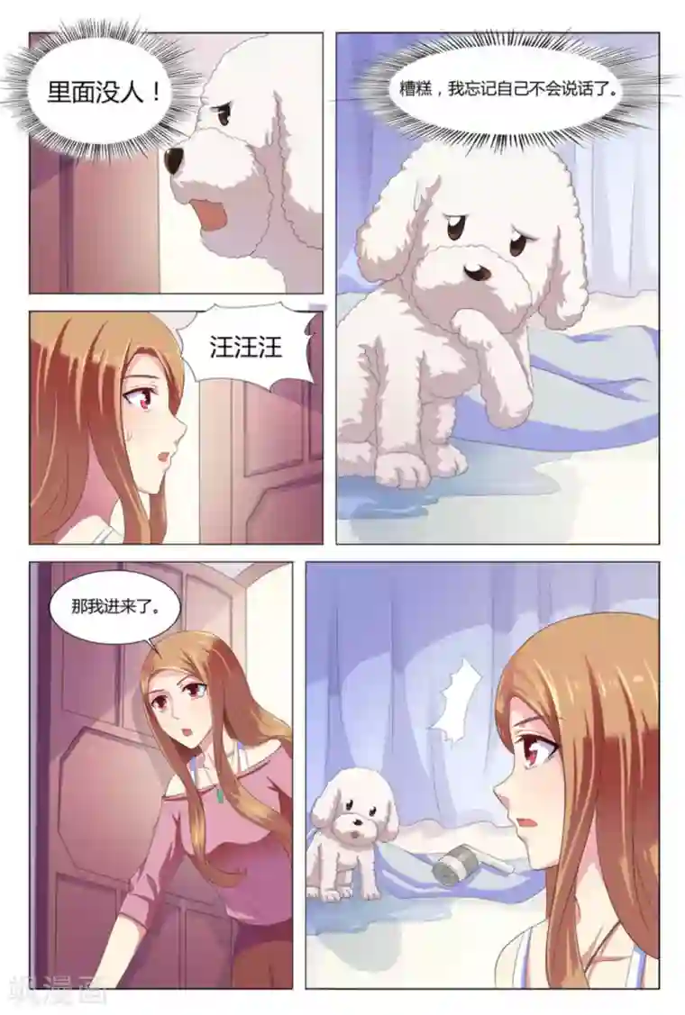 我的房东是泰迪第2话