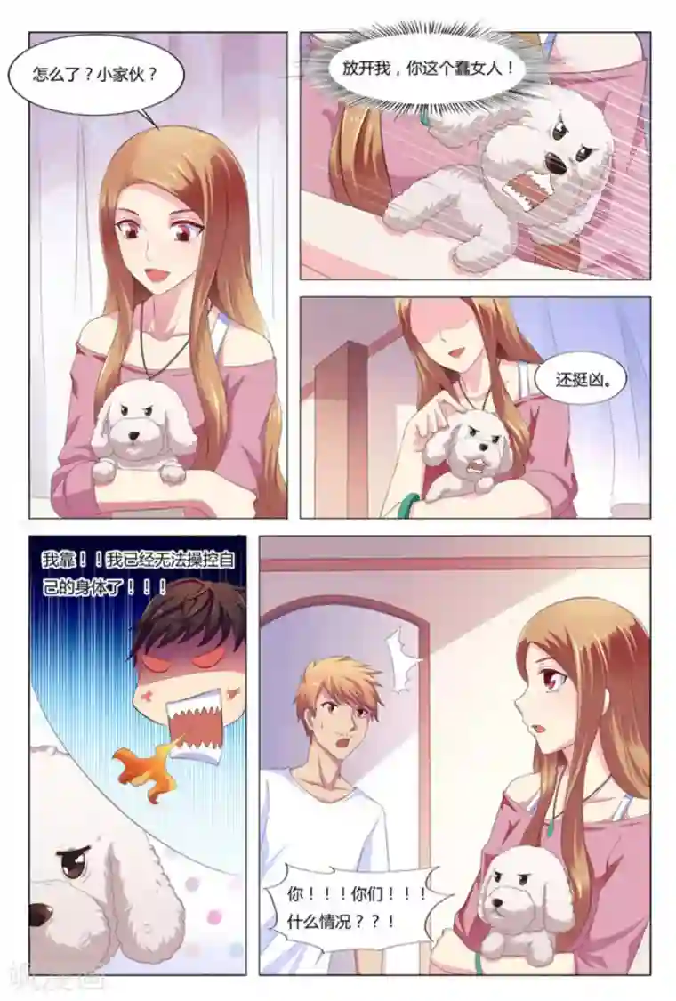 我的房东是泰迪第2话