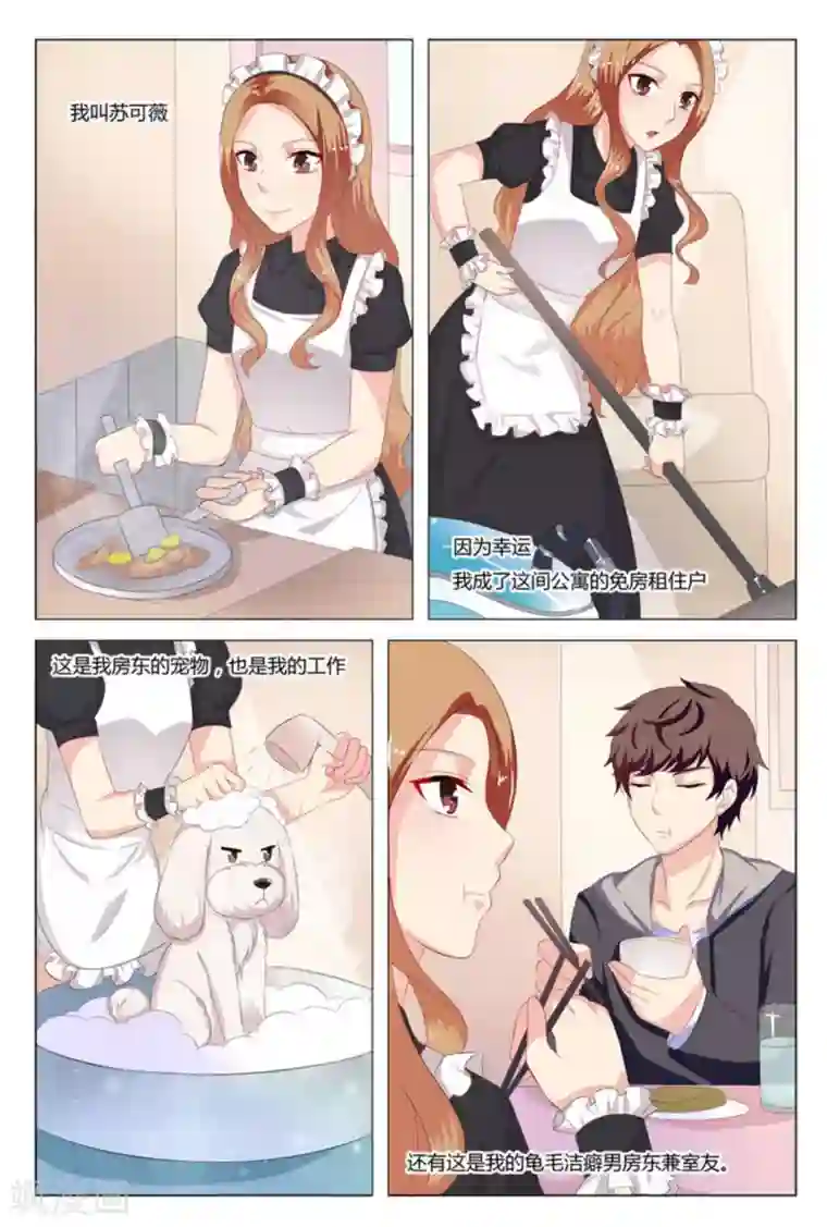 我的房东是泰迪第11话